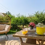 Orchard 브라쇼브