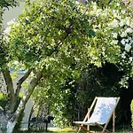 Orchard Brasov