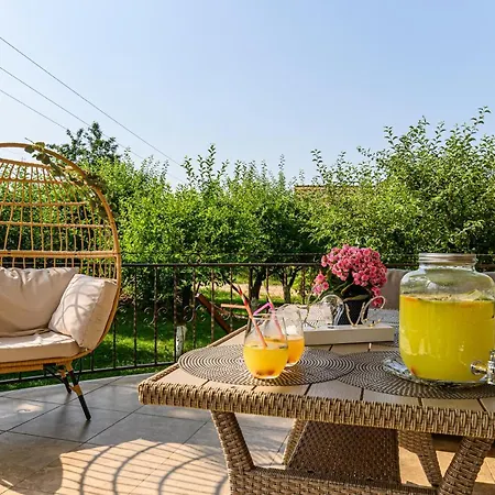 Orchard Braşov