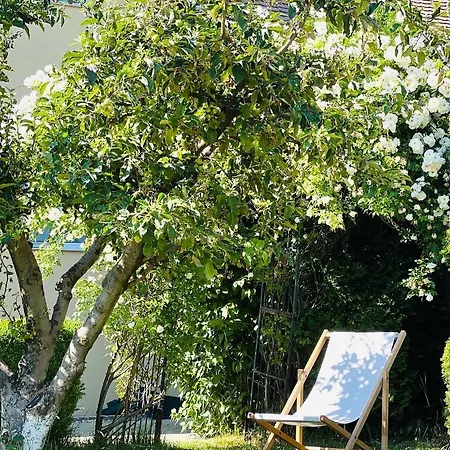 Orchard Braşov