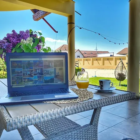 Guest house Orchard 3*