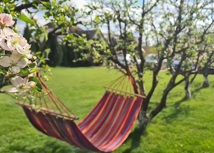 Orchard Guest house 3*