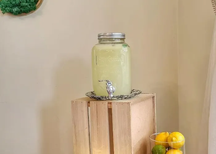 Guest house Orchard 3*